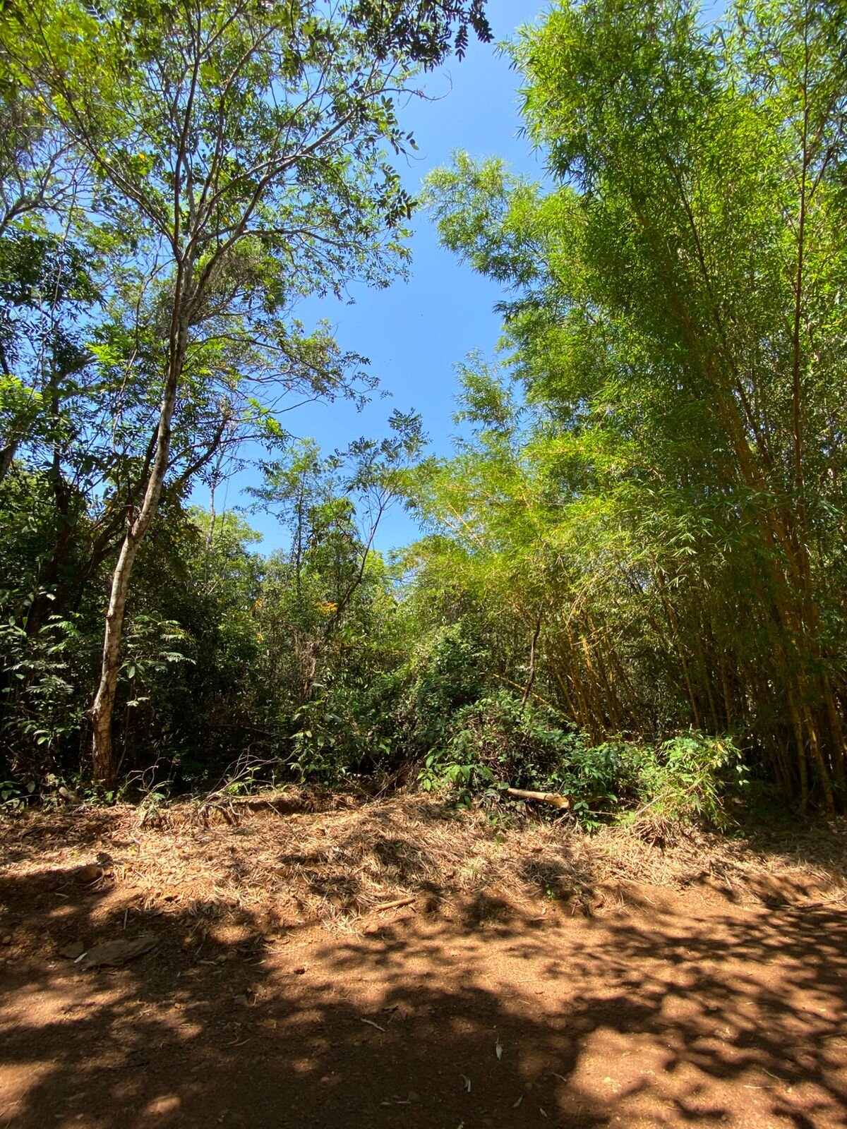 Terrenos Entrada da Florada — Terreno