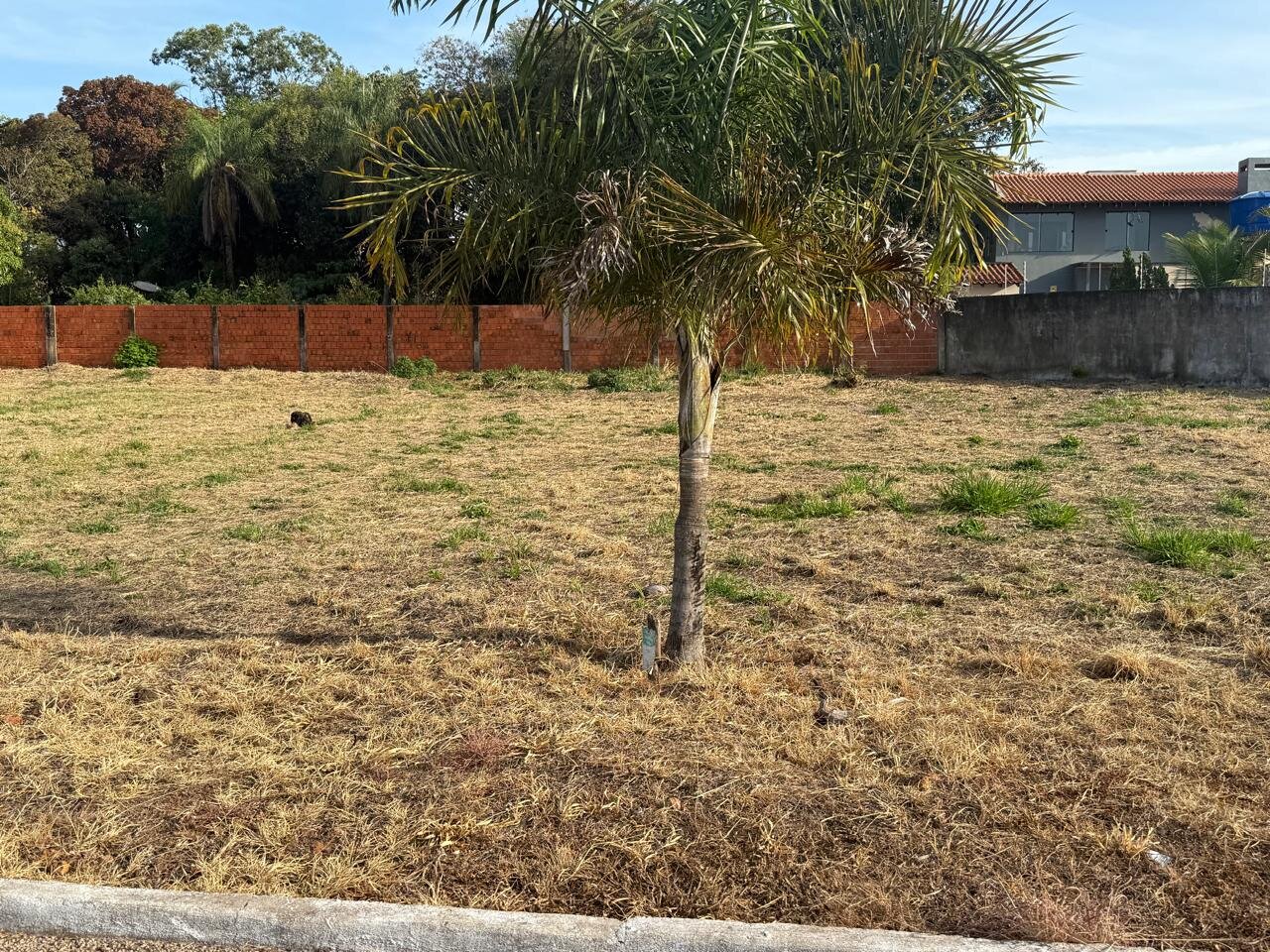 Terrenos Condomínio Brisas da Chapada — Terreno